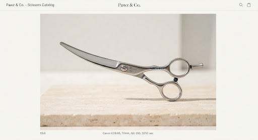 Scissors